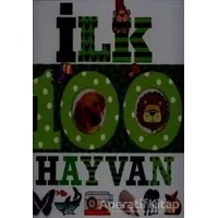 İlk 100 Dizisi Hayvan (Büyük Kapak) - Kolektif - Çiçek Yayıncılık