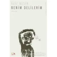 Benim Delilerim - Aziz Nesin - Nesin Yayınevi