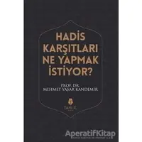 Hadis Karşıtları Ne Yapmak İstiyor? - Mehmet Yaşar Kandemir - Tahlil Yayınları