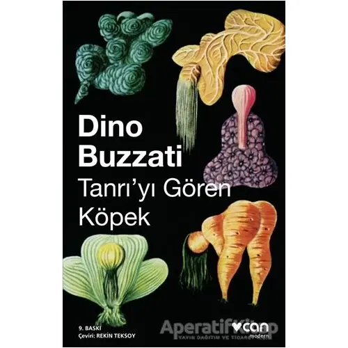 Tanrıyı Gören Köpek - Dino Buzzati - Can Yayınları