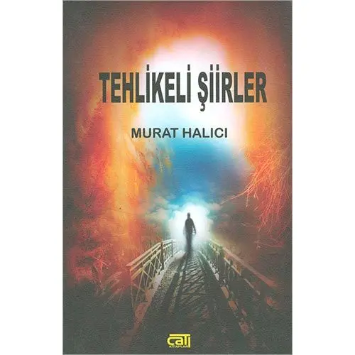 Tehlikeli Şiirler - Murat Halıcı - Çatı Kitapları