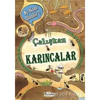 Çalışkan Karıncalar - Bu Nasıl Olabilir? - Marcin Brykczynski - Teleskop Popüler Bilim