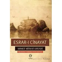 Esrar-ı Cinayat - Ahmet Mithat Efendi - Tema Yayınları