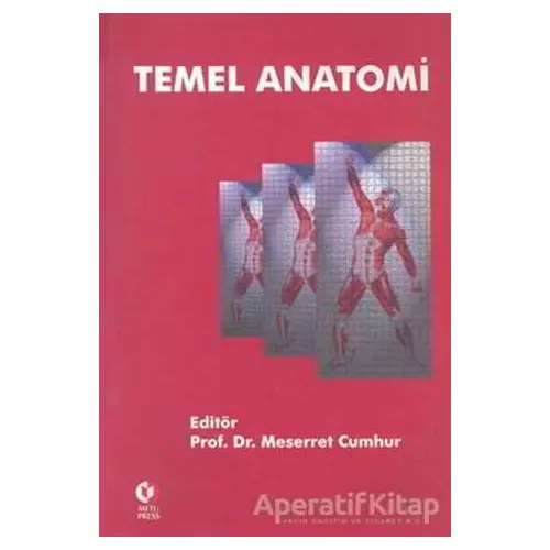 Temel Anatomi - Meserret Cumhur - ODTÜ Geliştirme Vakfı Yayıncılık