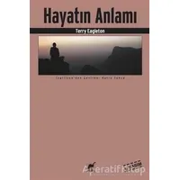 Hayatın Anlamı - Terry Eagleton - Ayrıntı Yayınları