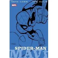 Renkler Serisi: Spider-Man - Mavi - Jeph Loeb - Marmara Çizgi