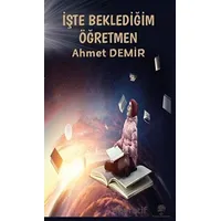 İşte Beklediğim Öğretmen - Ahmet Demir - Platanus Publishing