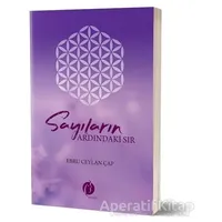 Sayıların Ardındaki Sır - Ebru Ceylan Çap - Herdem Kitap