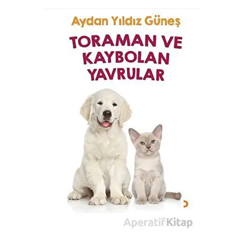 Toraman ve Kaybolan Yavrular - Aydan Yıldız Güneş - Cinius Yayınları