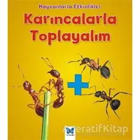 Karıncalarla Toplayalım - Tracey Steffora - Mavi Kelebek Yayınları