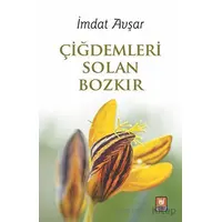 Çiğdemleri Solan Bozkır - İmdat Avşar - Türk Edebiyatı Vakfı Yayınları