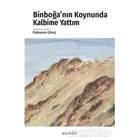 Binboğa’nın Koynunda Kalbime Yattım - Süleyman Çiltaş - Cevahir Yayınları