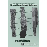 Temel Ekonomik Göstergeler Çerçevesinde Türkiye Ekonomisindeki Gelişmeler