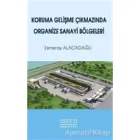 Koruma Gelişme Çıkmazında Organize Sanayi Bölgeleri - Esmeray Alacadağlı - Astana Yayınları