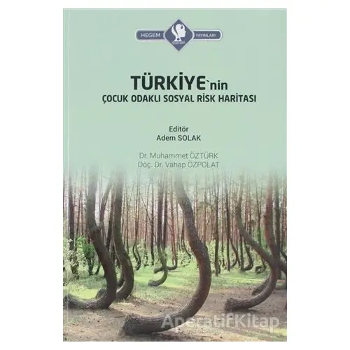 Türkiyenin Çocuk Odaklı Sosyal Risk Haritası - Muhammet Öztürk - Hegem Yayınları