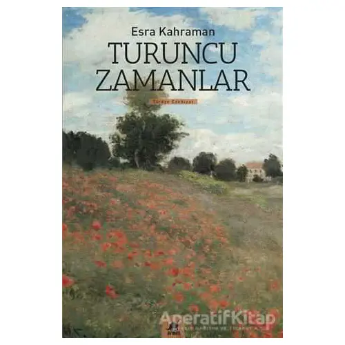 Turuncu Zamanlar - Esra Kahraman - Ayrıntı Yayınları