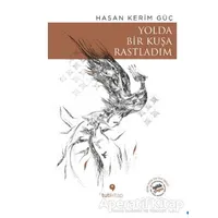 Yolda Bir Kuşa Rastladım - Hasan Kerim Güç - Tuti Kitap