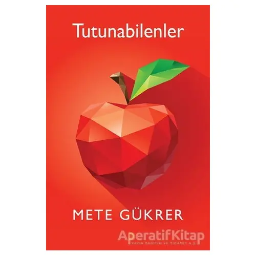 Tutunabilenler - Mete Gükrer - Cinius Yayınları