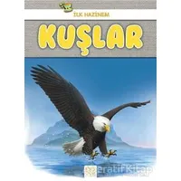 Kuşlar - İlk Hazinem - Denise Ryan - 1001 Çiçek Kitaplar