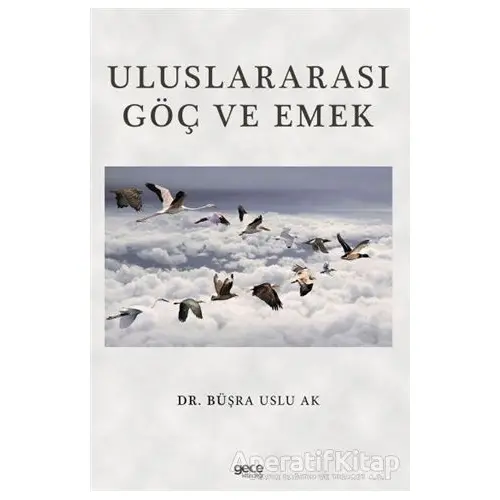 Uluslararası Göç ve Emek - Büşra Uslu Ak - Gece Kitaplığı