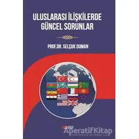 Uluslararası İlişkilerde Güncel Sorunlar - Selçuk Duman - Berikan Yayınevi