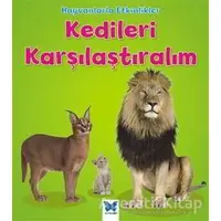 Hayvanlarla Etkinlikler - Kedileri Karşılaştıralım - Tracey Steffora - Mavi Kelebek Yayınları