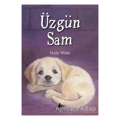 Üzgün Sam - Holly Webb - Pegasus Yayınları