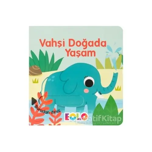 Vahşi Doğada Yaşam - Rachael Elliot - Eolo Yayıncılık