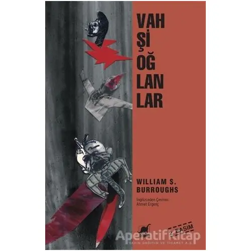 Vahşi Oğlanlar - William S. Burroughs - Ayrıntı Yayınları