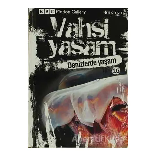 Vahşi Yaşam 2 - Denizlerde Yaşam - Kolektif - Boyut Yayın Grubu