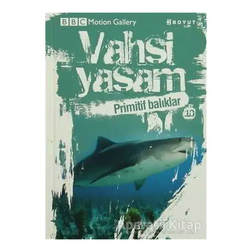 Vahşi Yaşam 2 - Primitif Balıklar - Kolektif - Boyut Yayın Grubu