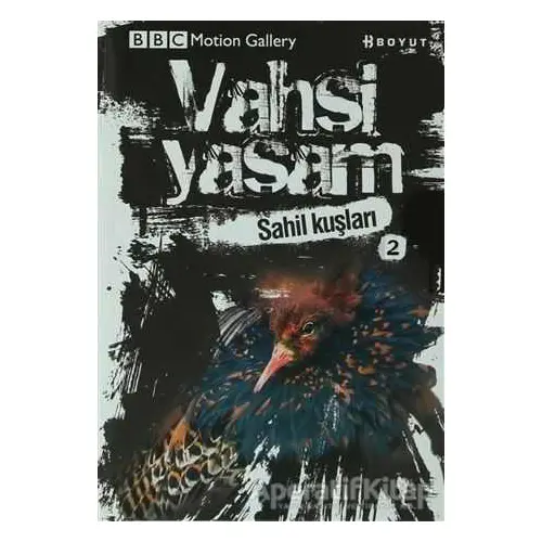 Vahşi Yaşam 2 - Sahil Kuşları - Derek Niemann - Boyut Yayın Grubu