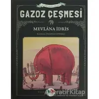 Gazoz Çeşmesi - Mevlana İdris - Vak Vak Yayınları