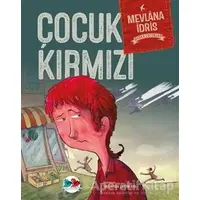 Çocuk Kırmızı - Mevlana İdris - Vak Vak Yayınları