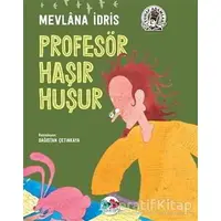 Profesör Haşır Huşur - Mevlana İdris - Vak Vak Yayınları