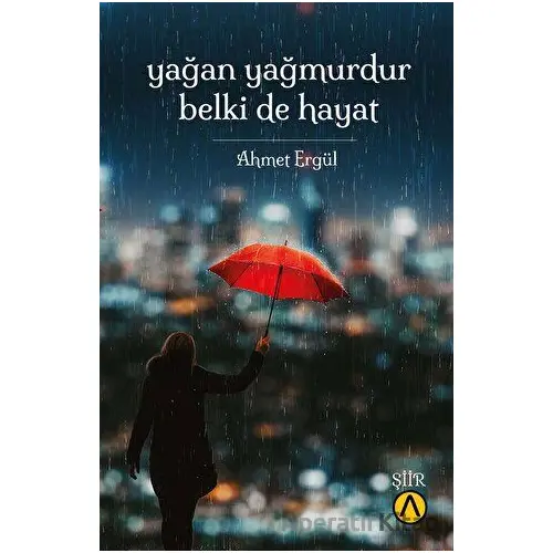 Yağan Yağmurdur Belki De Hayat - Ahmet Ergül - Ares Yayınları