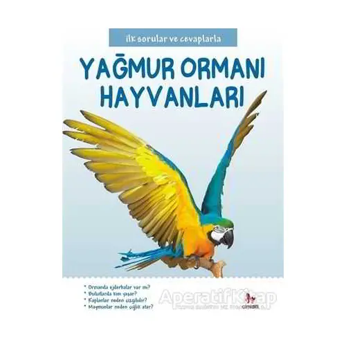 Yağmur Ormanı Hayvanları - İlk Sorular ve Cevaplarla - Camilla de la Bedoyere - Almidilli