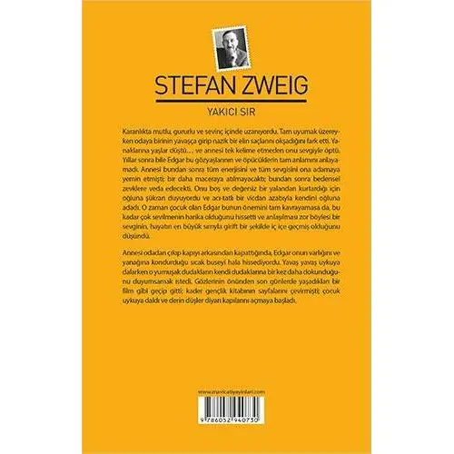 Yakıcı Sır - Stefan Zweig - Maviçatı Yayınları