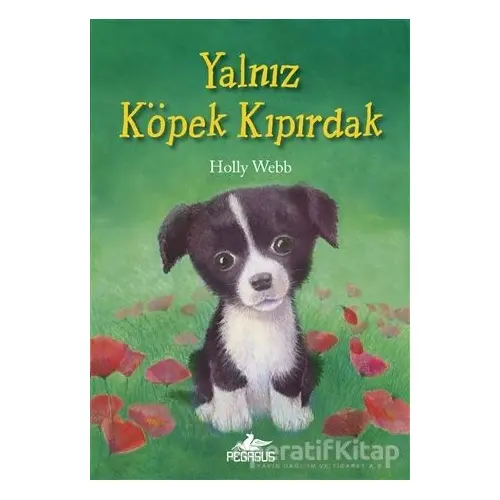 Yalnız Köpek Kıpırdak - Holly Webb - Pegasus Yayınları