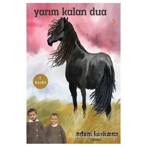 Yarım Kalan Dua - Sema Aksu - Cinius Yayınları