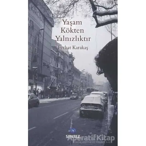 Yaşam Kökten Yalnızlıktır - Ferhat Karakaş - Sentez Yayınları