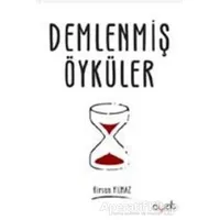 Demlenmiş Öyküler - Birsen Yılmaz - Ayzıt Yayınları