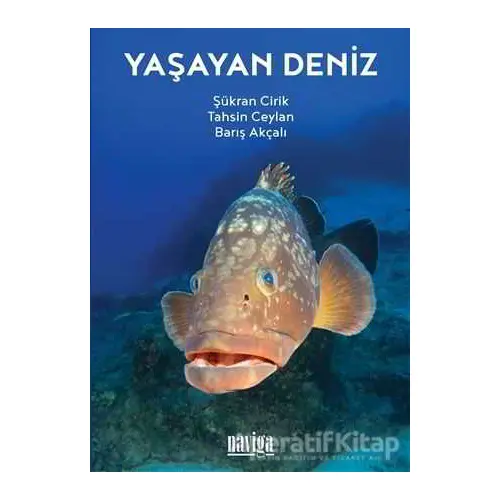 Yaşayan Deniz - Şükran Cirik - Naviga Yayınları