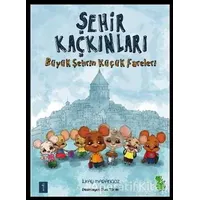 Şehir Kaçkınları: Büyük Şehrin Küçük Fareleri - İlkay Marangoz - Yeşil Dinozor