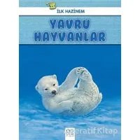 Yavru Hayvanlar - İlk Hazinem - Denise Ryan - 1001 Çiçek Kitaplar