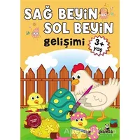 Sağ Beyin - Sol Beyin Gelişimi +3 Yaş - Kolektif - Beyaz Panda Yayınları