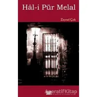 Hal- i Pür Melal - Zeynel Çok - Şiirden Yayıncılık