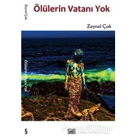 Ölülerin Vatanı Yok - Zeynel Çok - Şiirden Yayıncılık