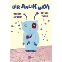 Bir Anlık Mavi - Zeynep Alpaslan - Çınar Yayınları