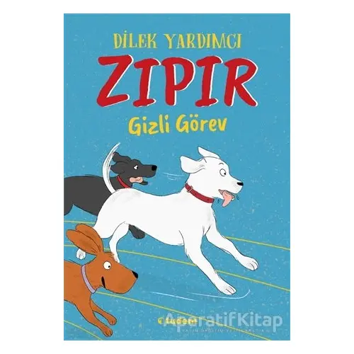 Zıpır Gizli Görev - Dilek Yardımcı - Tudem Yayınları